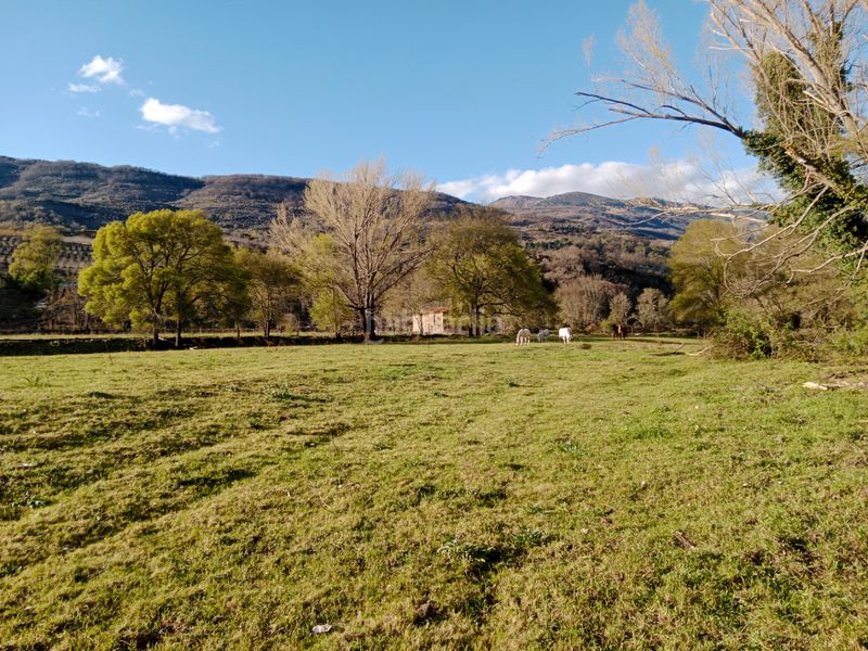 Foto 1cdc293e-331f-453d-bb14-1db0741cf0e5. Finca rústica a plaza padre la calle 5 a Torno (El)