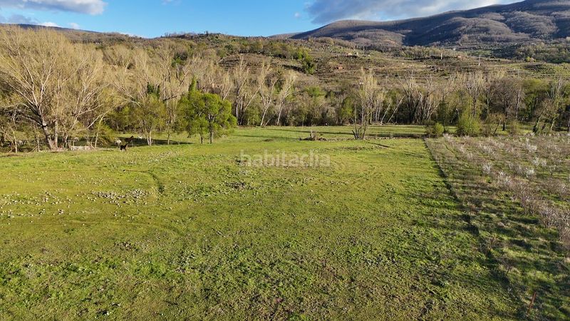 Foto 2163aa6a-530e-462b-8574-7f61173686b3. Finca rústica a plaza padre la calle 5 a Torno (El)