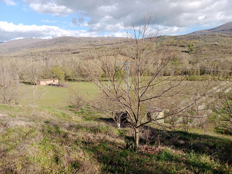 Foto 434fdf6b-27d6-4959-8cff-ca991383aff1. Finca rústica a plaza padre la calle 5 a Torno (El)