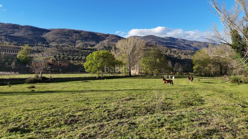 Foto 493844b9-2f82-4e60-8c9d-6c3ff683514e. Finca rústica a plaza padre la calle 5 a Torno (El)