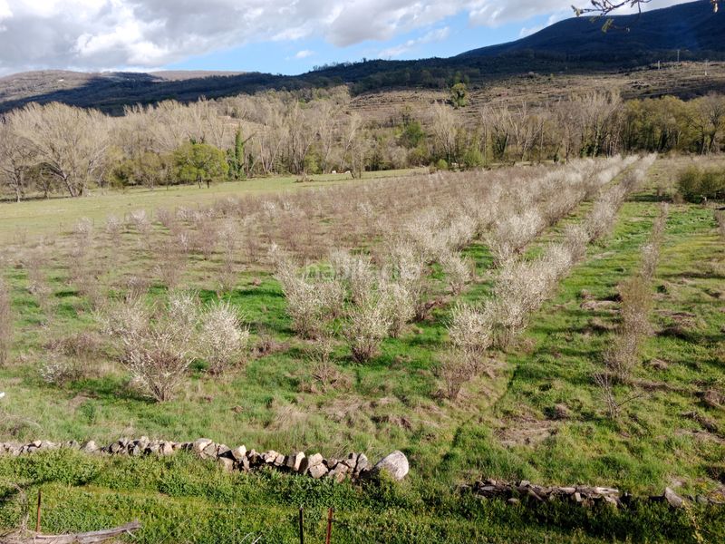 Foto 50364568-ab7e-41bf-9019-9403f620ce99. Finca rústica a plaza padre la calle 5 a Torno (El)