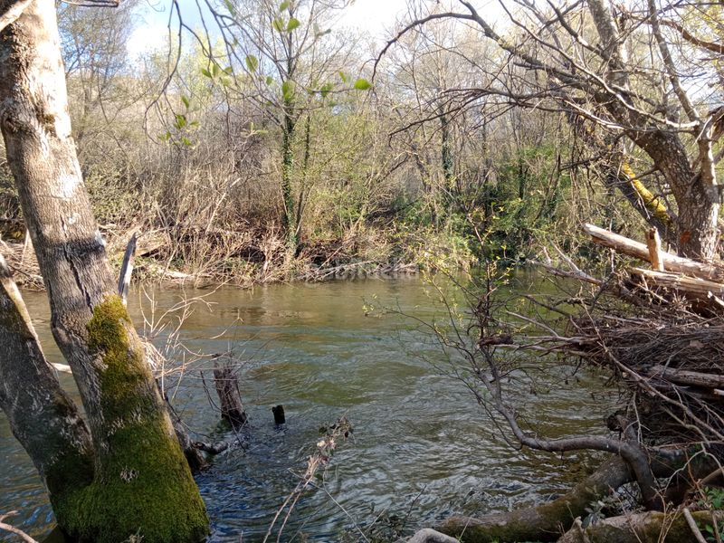 Foto 53a91278-5bd9-4378-b81c-eba4426fcbe7. Finca rústica a plaza padre la calle 5 a Torno (El)