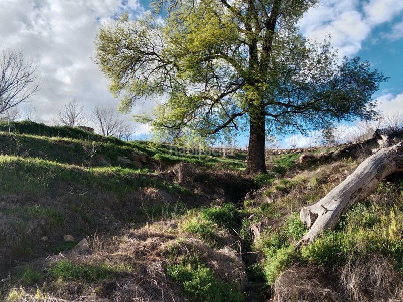 Foto 550b11b9-f87d-4391-b578-c89a356aa463. Finca rústica a plaza padre la calle 5 a Torno (El)