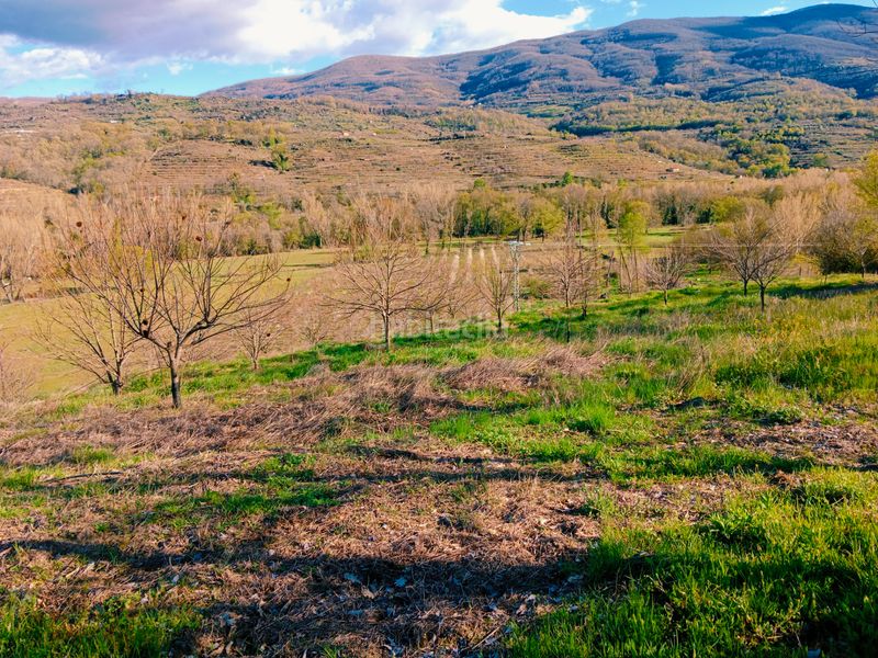 Foto 5783f46c-a959-4922-bb98-dc32156b8897. Finca rústica a plaza padre la calle 5 a Torno (El)