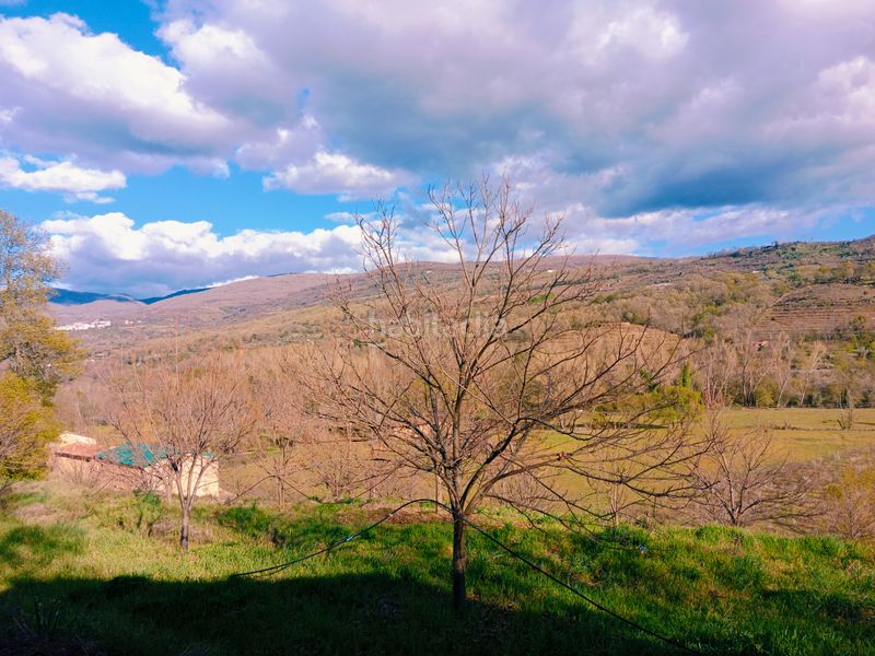 Foto 65892366-0210-474e-a6c6-267b33c3bbe2. Finca rústica a plaza padre la calle 5 a Torno (El)