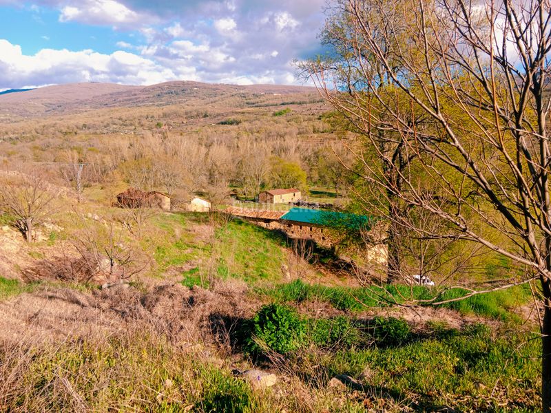 Foto 8e5d80cf-074d-4404-bbbf-4afab41c00ad. Finca rústica a plaza padre la calle 5 a Torno (El)