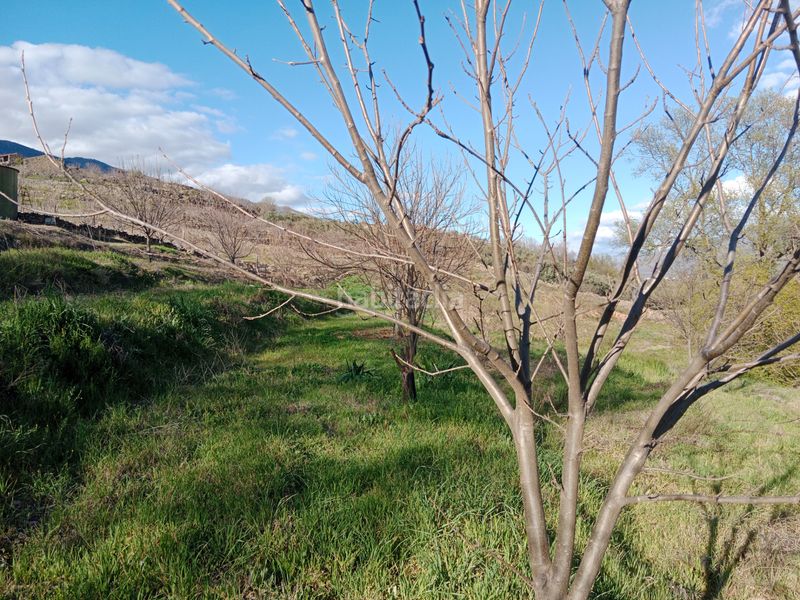 Foto 9120b3e0-6b76-483c-b8e6-a585df8dee95. Finca rústica a plaza padre la calle 5 a Torno (El)