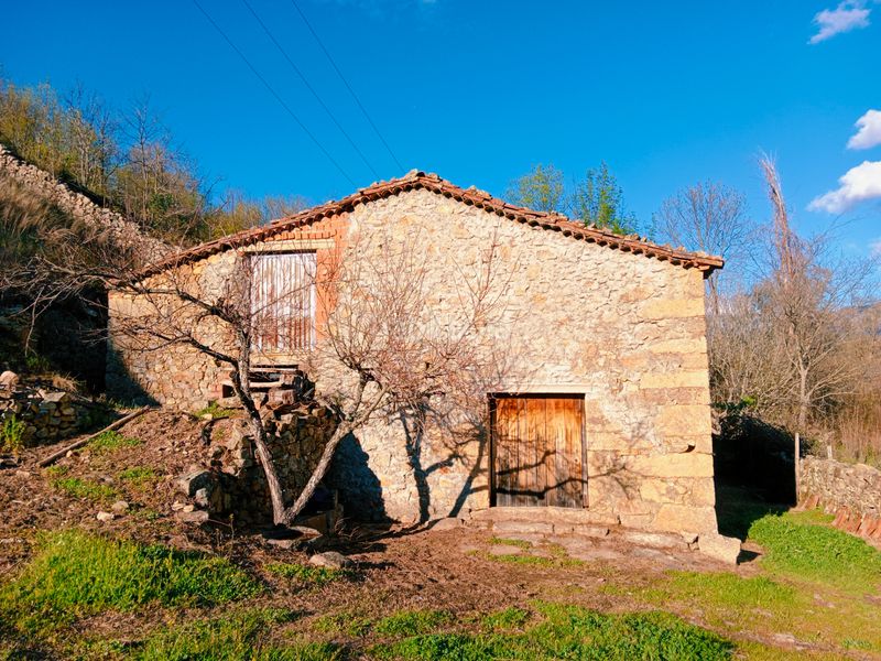 Foto 921850ea-ff64-4035-95ca-44eecca3641c. Finca rústica a plaza padre la calle 5 a Torno (El)