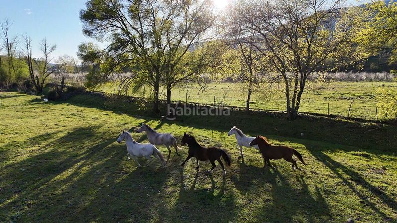 Foto 99031b6c-ba72-480f-9f05-4c40e45ab60b. Finca rústica a plaza padre la calle 5 a Torno (El)