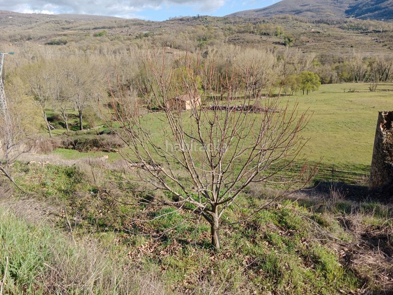 Foto 9c46c2ff-632f-4270-9951-999d3dc35557. Finca rústica a plaza padre la calle 5 a Torno (El)