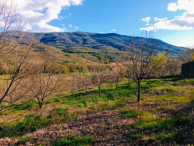 Foto afb6a33f-6e1d-4074-8a47-95b6d2a999a5. Finca rústica a plaza padre la calle 5 a Torno (El)