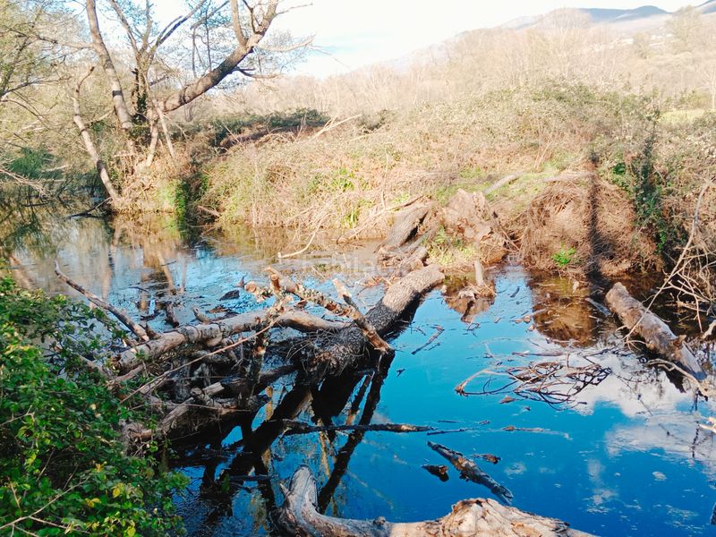 Foto d3c6b3d7-98df-4d82-b39d-aa85bd80d204. Finca rústica a plaza padre la calle 5 a Torno (El)