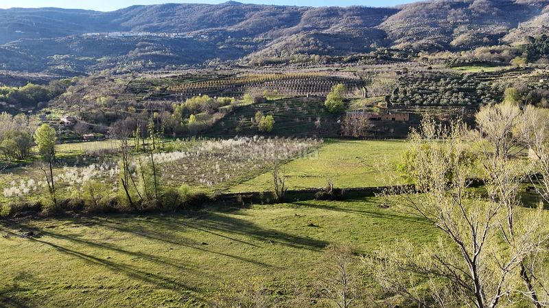 Foto dccb0df5-cc1c-4fa8-95ec-80919cea433a. Finca rústica a plaza padre la calle 5 a Torno (El)