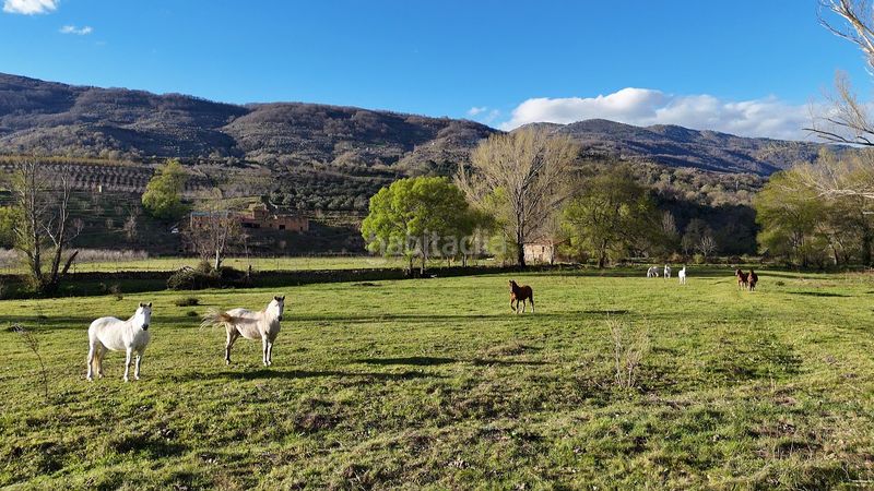 Foto fab9848a-139f-488c-861f-1f5f3f4cef55. Finca rústica a plaza padre la calle 5 a Torno (El)