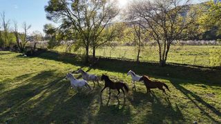 Finca rústica en Plaza padre la calle 5