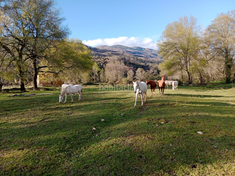 Foto a76acdb8-a926-4ca4-b816-ba004b09a694. Finca rústica en plaza padre la calle 5 en Torno (El)