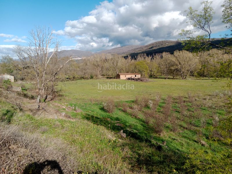 Foto d6ef069f-32ab-426c-8836-9db216df9ea8. Finca rústica en plaza padre la calle 5 en Torno (El)