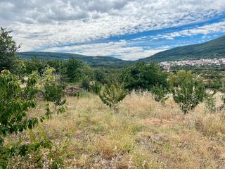 Finca rústica a Calle las limas 22. Venta de finca de cerezos en casas del catañar. valle del jerte