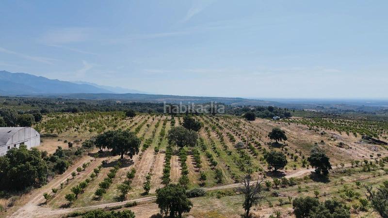 Foto 3dff5940-49e9-435b-8d32-916bfb75547a. Finca rústica a ex-392 pk 16 a Jaraíz de la Vera