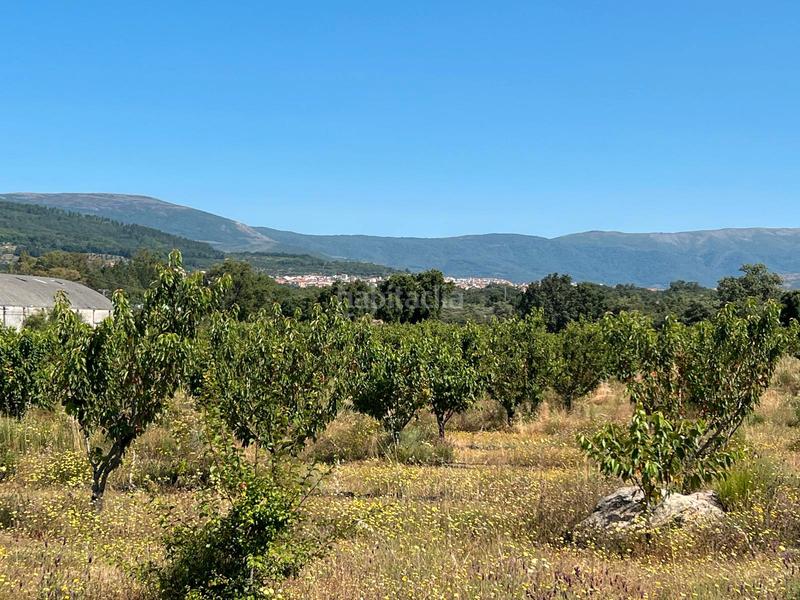 Foto 4ca7533f-80c8-47fb-8671-736bcca4d8cf. Finca rústica a ex-392 pk 16 a Jaraíz de la Vera