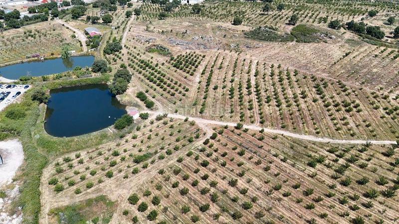 Foto 6b5c2813-7f01-443b-ac4f-c02129d316a4. Finca rústica a ex-392 pk 16 a Jaraíz de la Vera