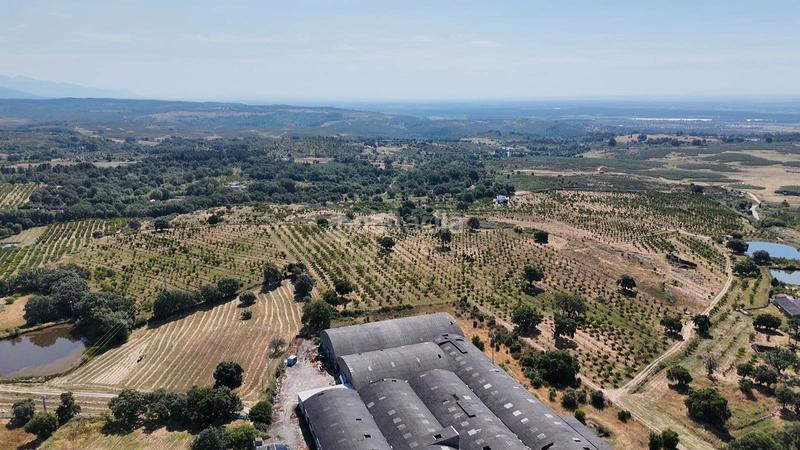 Foto 84166689-ade5-4d44-8ad4-a7a1a8217f29. Finca rústica a ex-392 pk 16 a Jaraíz de la Vera