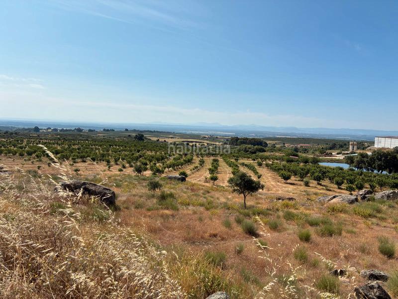 Foto 8cd07d92-1854-4788-aec2-af2c6d7356d5. Finca rústica a ex-392 pk 16 a Jaraíz de la Vera