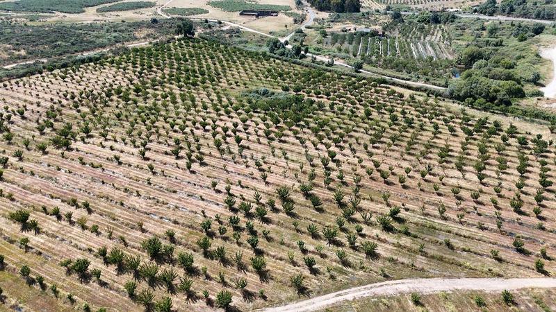 Foto a7bc3250-eb28-46cd-b1ed-796b3a063e85. Finca rústica a ex-392 pk 16 a Jaraíz de la Vera