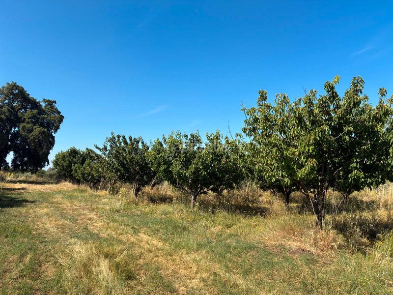 Foto a90eec0b-ff8a-4056-a2f6-e2c9abac3845. Finca rústica a ex-392 pk 16 a Jaraíz de la Vera