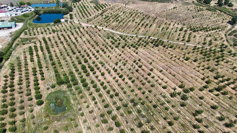 Foto a9bd0db8-15ba-4b4e-89a8-9459b3508a41. Finca rústica a ex-392 pk 16 a Jaraíz de la Vera