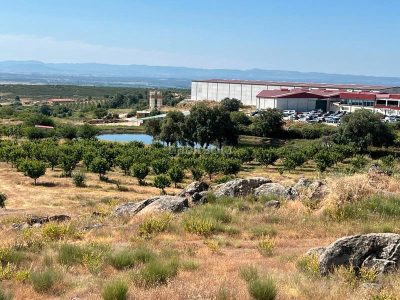 Foto aa2feceb-b171-4fa6-9085-b1d194521524. Finca rústica a ex-392 pk 16 a Jaraíz de la Vera