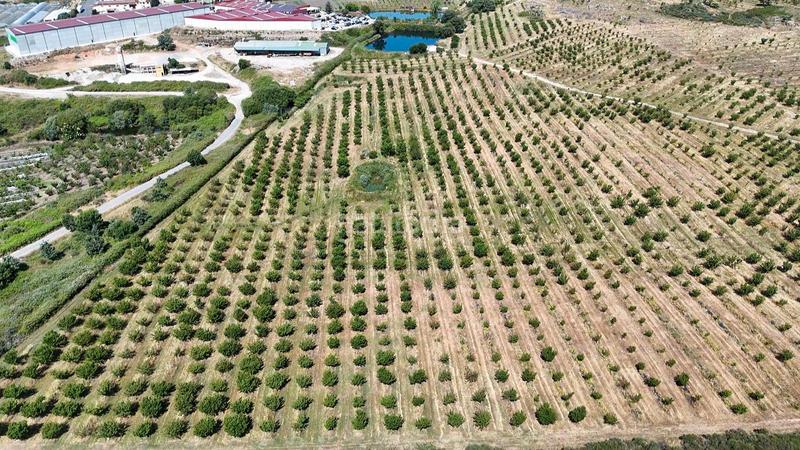 Foto d8c38e9e-f182-4cb3-9248-f7cfa0a8ca52. Finca rústica a ex-392 pk 16 a Jaraíz de la Vera