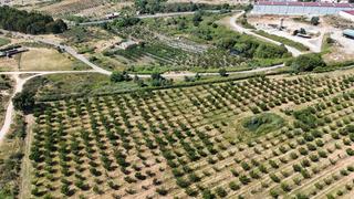 Finca rústica  Ex-392 pk 16. Venta de finca de cerezos e higueras en jaraiz de la vera