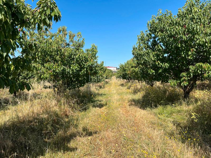 Foto fa4707f0-f5ef-4d69-9fe5-7348fd11c602. Finca rústica a ex-392 pk 16 a Jaraíz de la Vera