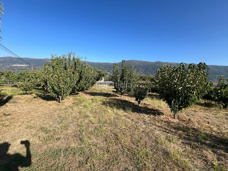 Foto 6743a424-b5bd-4787-8a1d-49b69a4e5565. Terreny residencial a paseo naranjos 116 a Valdastillas