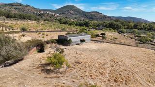 Finca rústica en Camino de arroyomolinos de la vera 24b. Venta de finca en la vera, arroyomolinos, con abundante agua