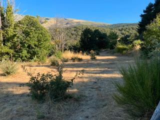 Terreno residenziale in Calle cerrado 20. Espectacular finca en la parte alta de candelaria, con unas vist