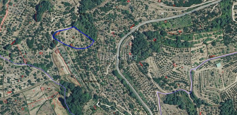 Foto 125d84a2-3fb1-4199-9390-107c6380ba5c. Finca rústica a calle la raiz 52 a Casas del Castañar