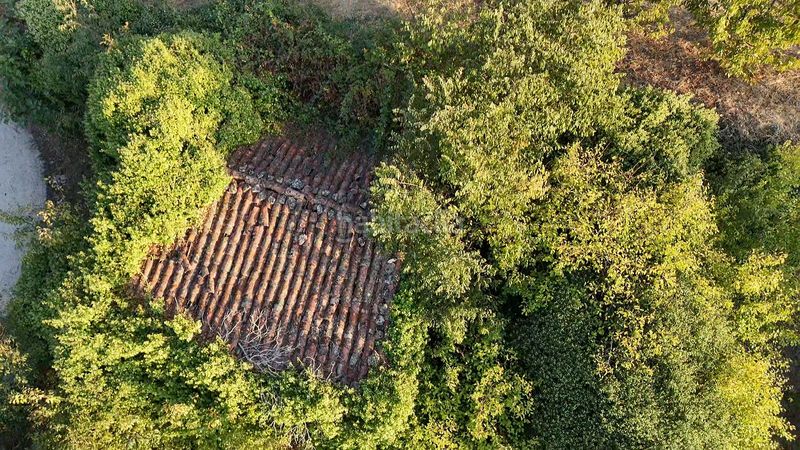 Foto 2fab436c-6bbf-4e27-8d7a-707b78a621f3. Finca rústica a calle la raiz 52 a Casas del Castañar