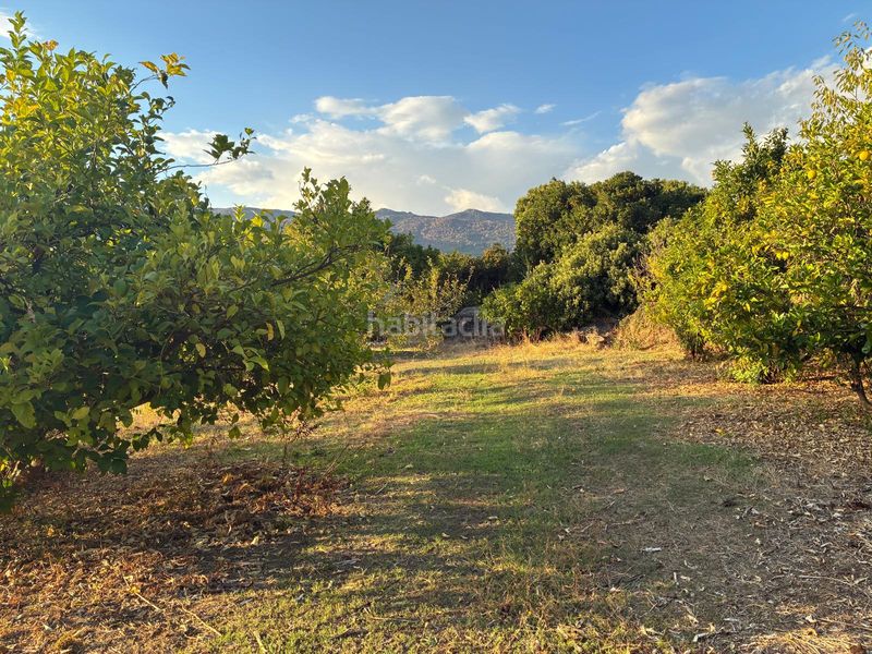 Foto 36b484e5-90c5-40a6-a20d-219f2ef820aa. Finca rústica a calle la raiz 52 a Casas del Castañar