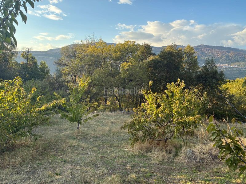 Foto 5aa320cd-9226-4c50-b77a-c28fbebcace2. Finca rústica a calle la raiz 52 a Casas del Castañar