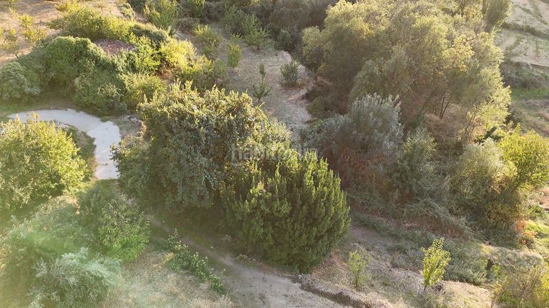 Foto 6a6ffc83-5a44-433b-bb7e-fa587ce31600. Finca rústica a calle la raiz 52 a Casas del Castañar