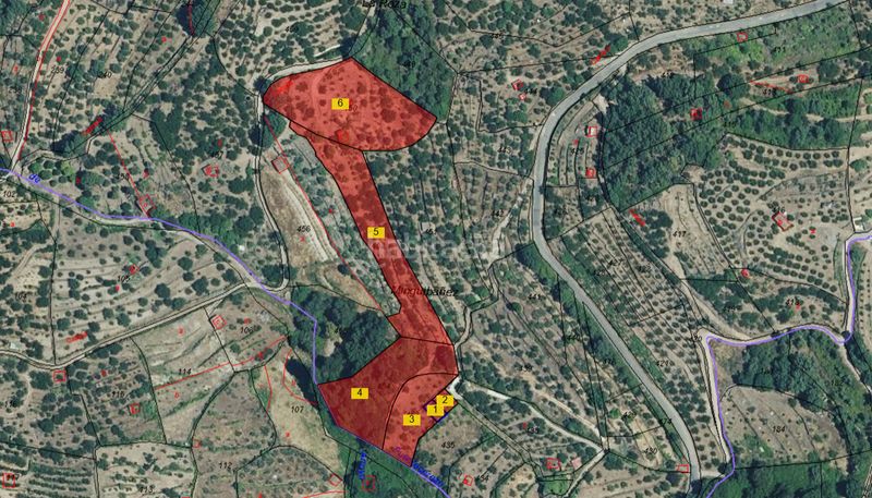 Foto 8670bafa-a065-4640-b4b3-671615d1fd32. Finca rústica a calle la raiz 52 a Casas del Castañar