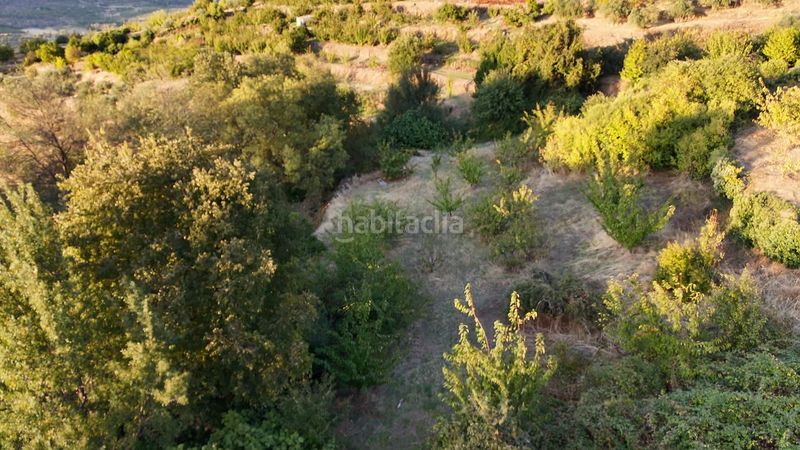 Foto 8d615ab1-4c8e-4831-a600-3bba1b975901. Finca rústica a calle la raiz 52 a Casas del Castañar