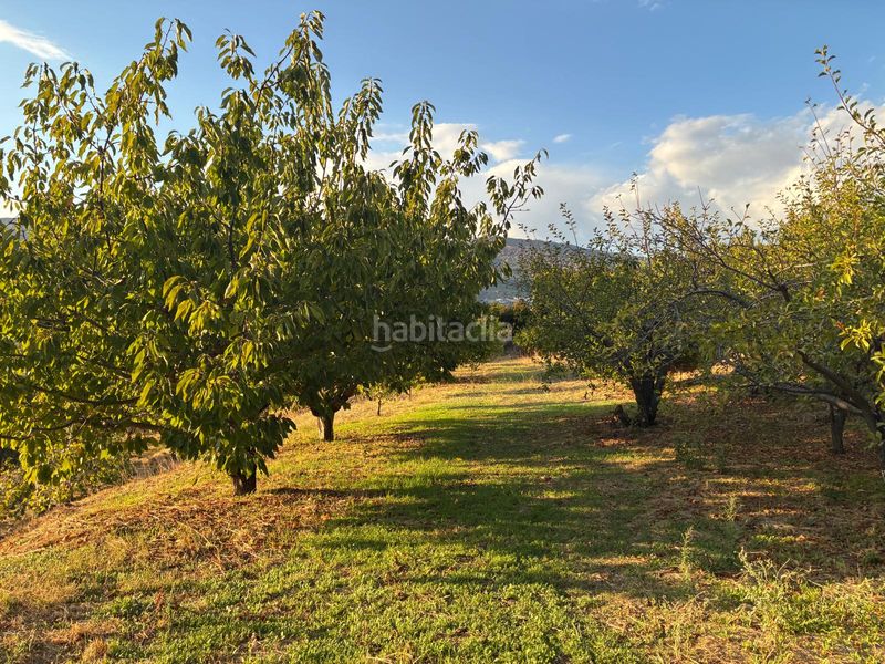 Foto a4a36b8f-9814-4e24-a551-7b35aef9e404. Finca rústica a calle la raiz 52 a Casas del Castañar