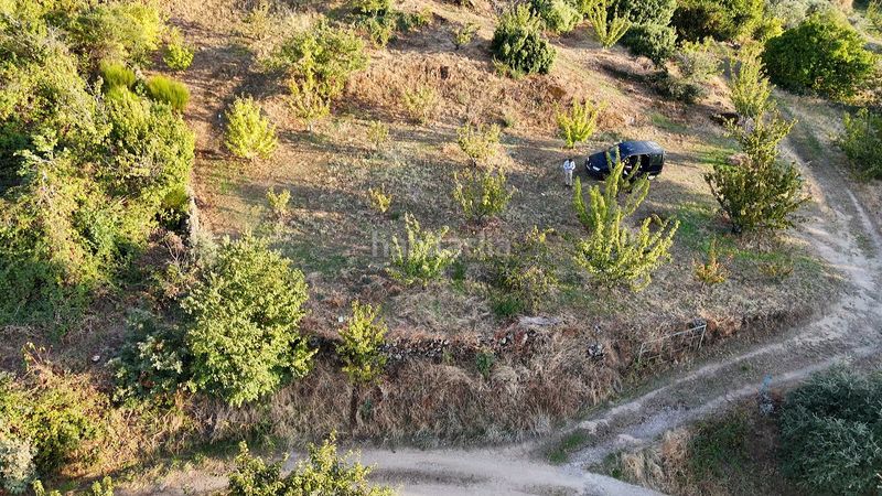 Foto d5cc3b46-67ed-4a95-a26d-937b48024352. Finca rústica a calle la raiz 52 a Casas del Castañar