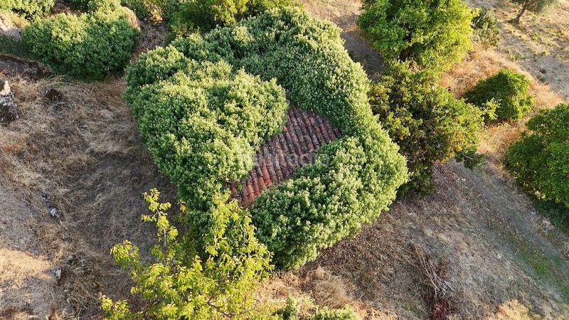 Foto de86376a-0c78-4ec8-9cab-5b750763528b. Finca rústica a calle la raiz 52 a Casas del Castañar