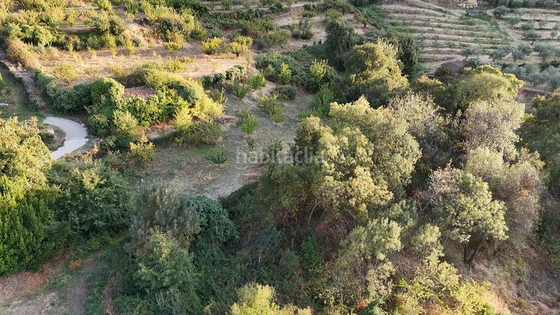 Foto e4b3b8a4-2799-4bcd-9359-87af2e638502. Finca rústica a calle la raiz 52 a Casas del Castañar