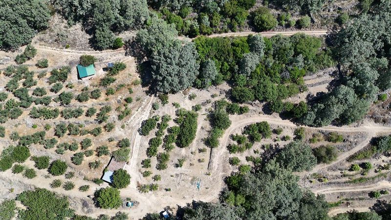 Foto aa5fabec-30eb-44a9-8a9f-8ba1e8522490. Finca rústica a calle la magdalena 6 a Pasarón de la Vera