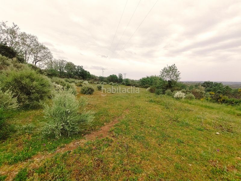 Foto 173abd9c-d488-4b91-8aa6-98a88e7791d9. Finca rústica a n/a a Cuacos de Yuste